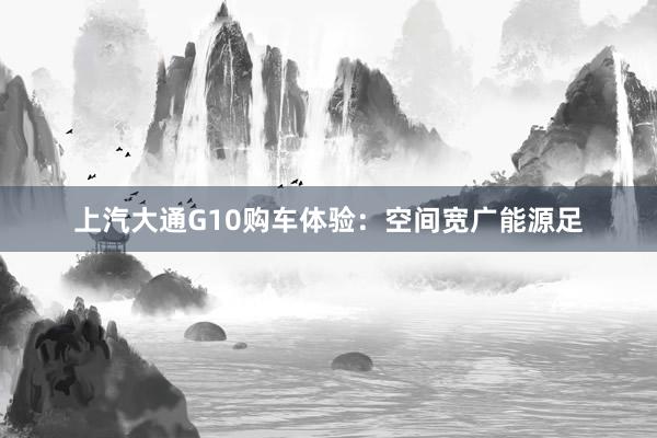 上汽大通G10购车体验：空间宽广能源足